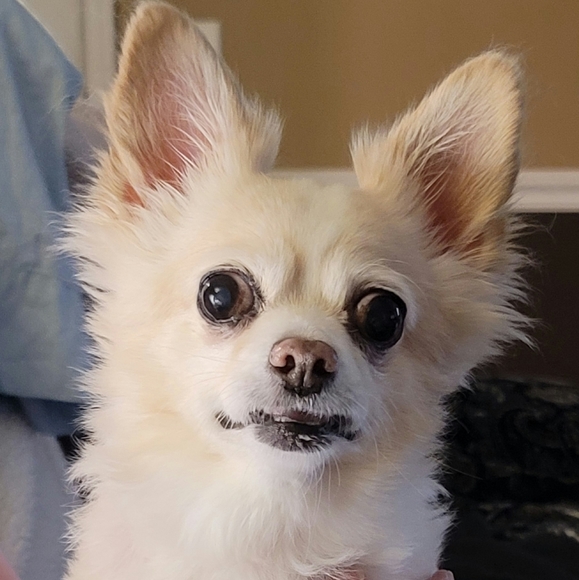 Jorge - Picture 3 of 4